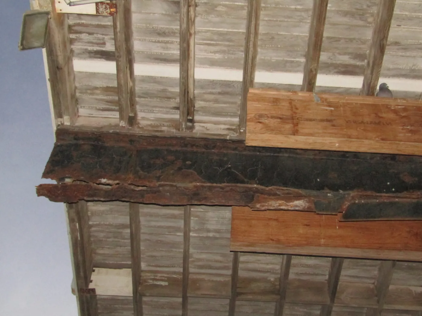 Looking up at a corroded steel beam under a timber deck